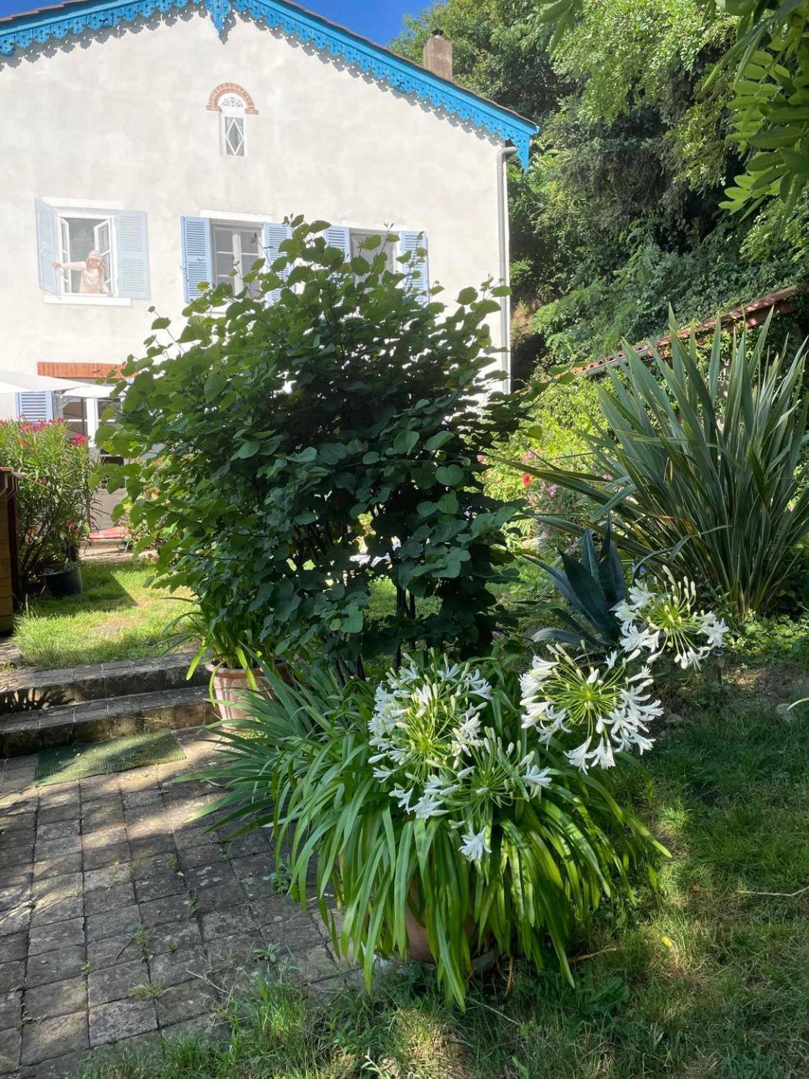 Les Agapanthes Bed & Breakfast Vaux-en-Beaujolais Exterior foto